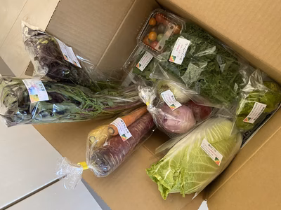 みんなの投稿の画像