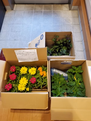 みんなの投稿の画像