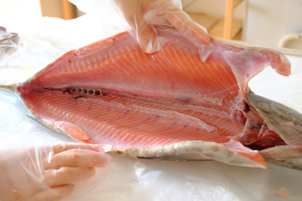 初めてでもなんとかできた北海道の秋鮭の捌き方 本物の親子丼を食べるために 農家漁師から産地直送の通販 ポケットマルシェ