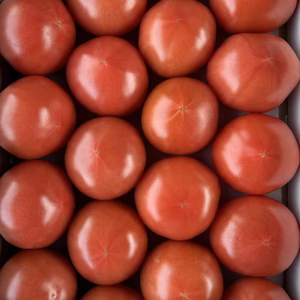 【リピート率驚異の45%!?】美味さの秘訣は【土耕栽培】にあり！　大玉トマト