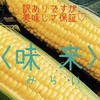 【訳あり】「フルーツみたいなスィートコーン」味来　< ご家庭用 > 