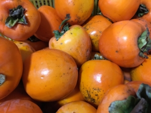 %e3%83%95%e3%82%a1%e3%82%a4%e3%83%ab_000