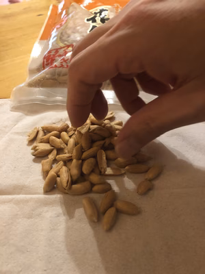 みんなの投稿の画像