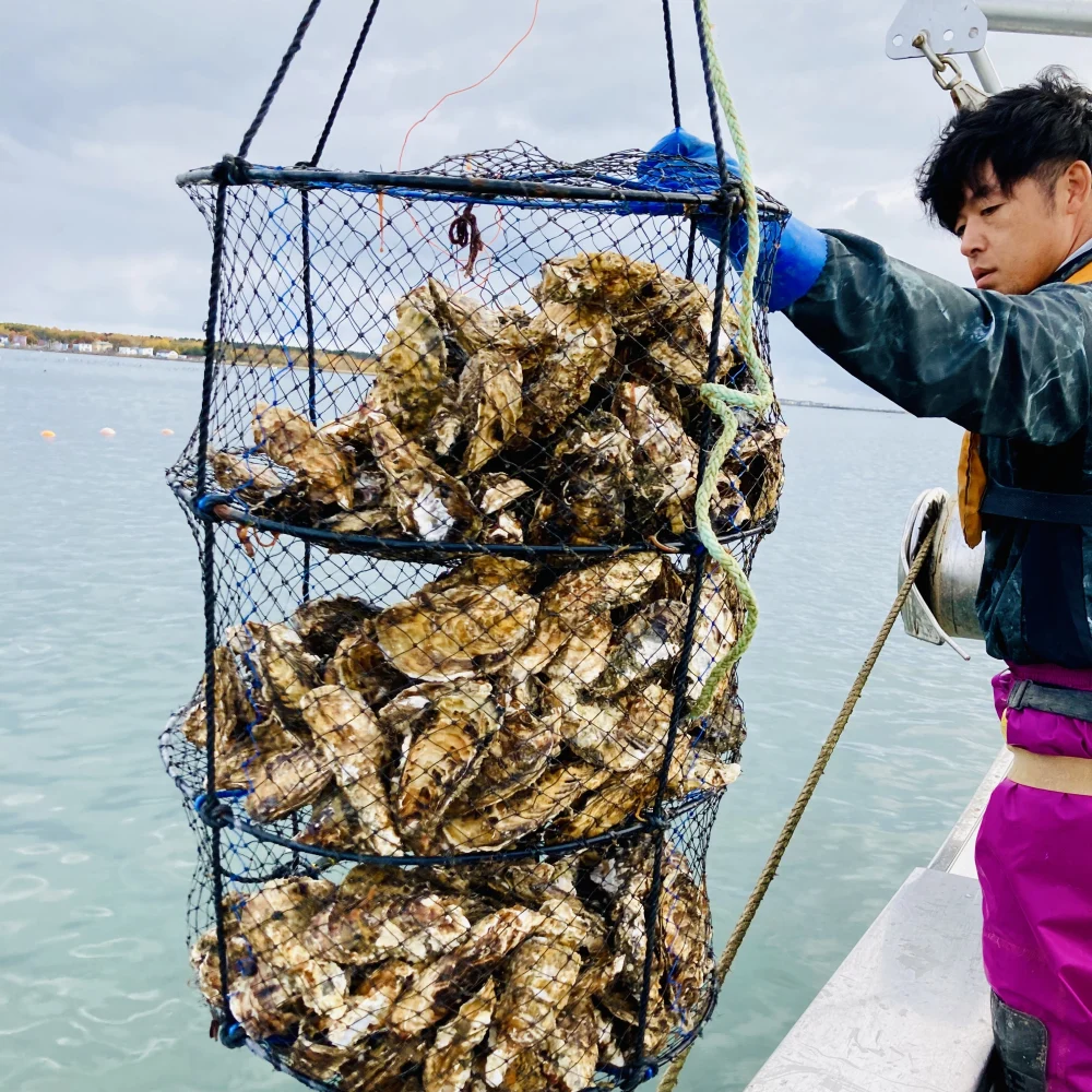 12月下旬発送　北海道　湧別産　厳選された極上生牡蠣（1kg）