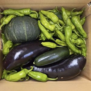 みかん農家が作る野菜セット^_^！　　送料無料！！