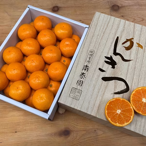 【完熟早生・有田みかん】化粧小箱『特秀』小玉SSサイズ×30玉【南泰園】