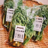 春を先取り！　有機菜花【菜花・なばな】