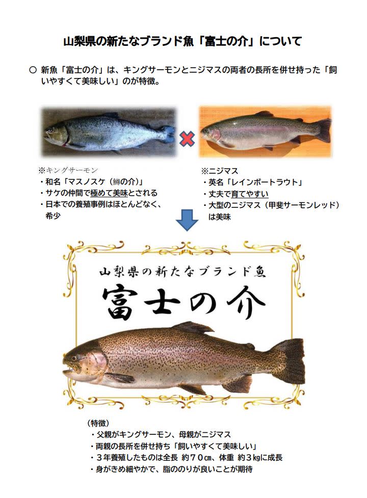 八ヶ岳の湧水育ちの川魚 4種類 食べ比べセット 農家漁師から産地直送の通販 ポケットマルシェ