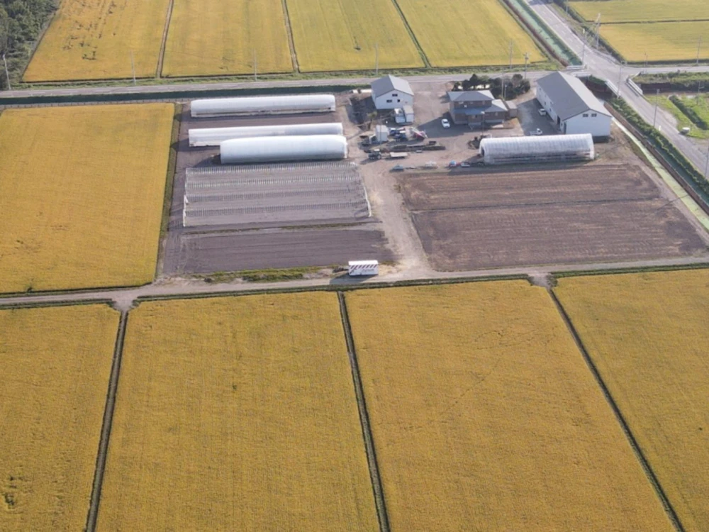 (新米)北海道産ななつぼし1977年から作り上げてきたこだわりの味10kg