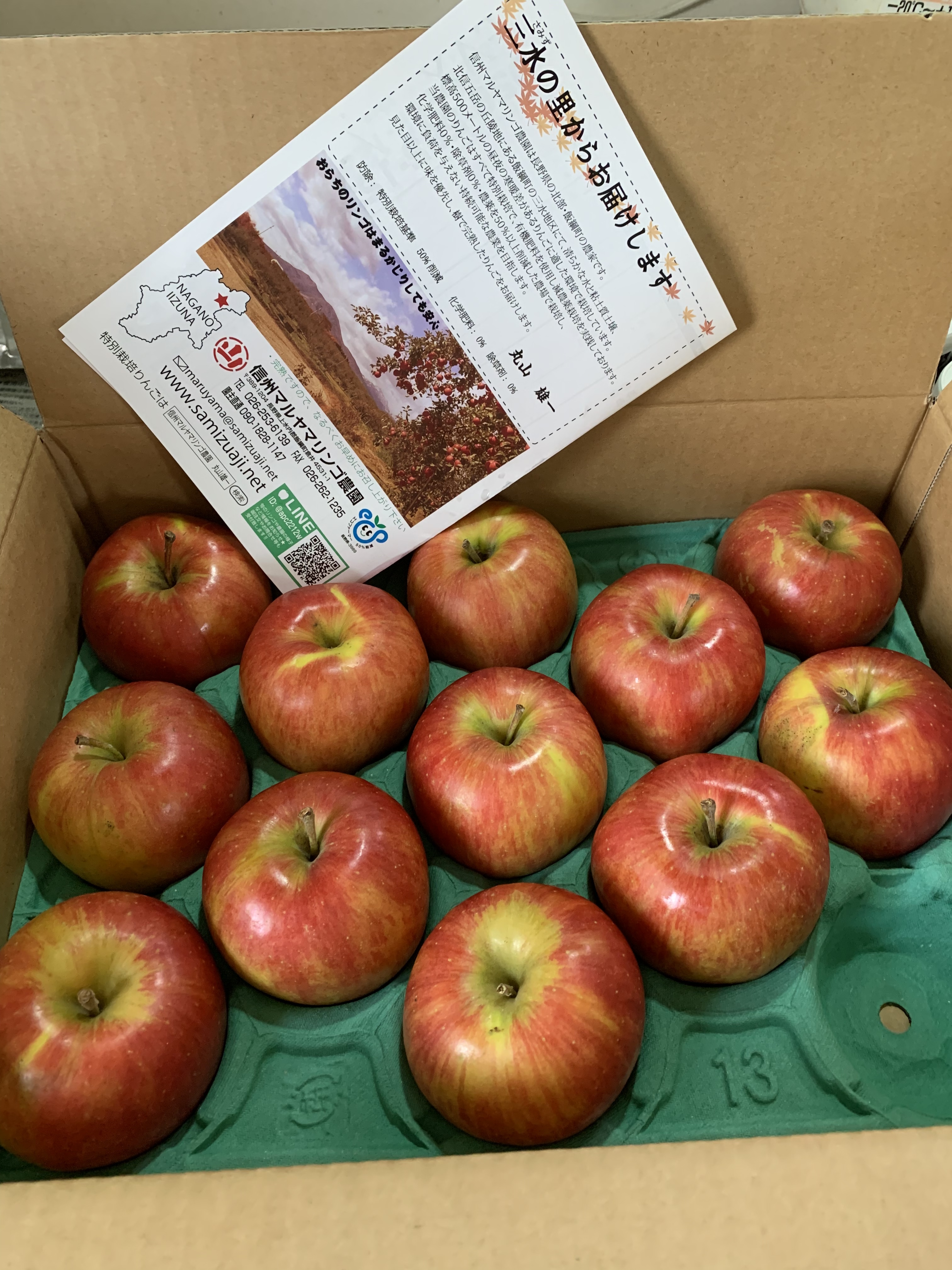 長野県上水内郡飯綱町｜信州マルヤマリンゴ農園｜丸山雄一さんの