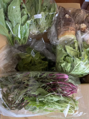 みんなの投稿の画像