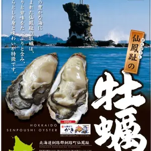 【訳ありハネモノ‼️】仙鳳趾の牡蠣・オマケあり