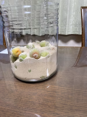 みんなの投稿の画像