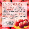 【送料無料】山形県産 サンふじ りんご 5kg (12～20玉入）