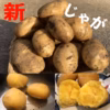 (あと少しありました)桑原農園の肉質しっかり黄色い新じゃがいも 農薬・肥料不使用