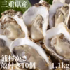 【生牡蠣】【生食用】M～Lサイズ 10個入り 三重県産 殻付き 浦村かき