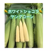 ヒゲまで美味しい期間限定ヤングコーン　