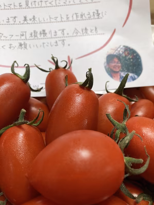 みんなの投稿の画像