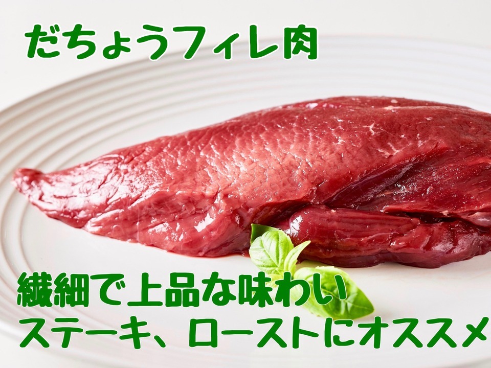 超歓迎された 国産 ダチョウ肉 フィレ お徳用 肉 ダチョウ ヒレ 希少 ヘルシー 珍しい お肉 赤身 めずらしい 料理 ステーキ カツレツ サイコロ ステーキ 希少部位 ローストビーフ 美里オーストリッチファーム fahrschule-witte.de