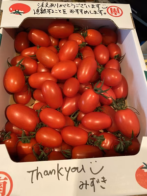 みんなの投稿の画像