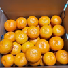5K箱三重県御浜町産☆薄皮濃厚極早生マルチ温州みかん☆収穫したて新鮮