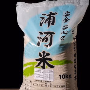 新米 北海道産 特別栽培米(令和6年産) ななつぼし玄米