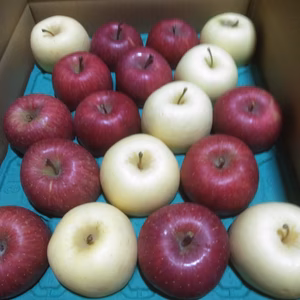 サンふじ　金星　詰め合わせ　5キロ