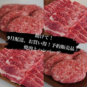 【助けて】【9月配送】特別価格にて販売！焼肉とハンバーグセット！