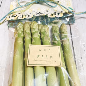 ☆ギフト仕様☆初夏アスパラガス2L500g/オリジナルメッセージカード付