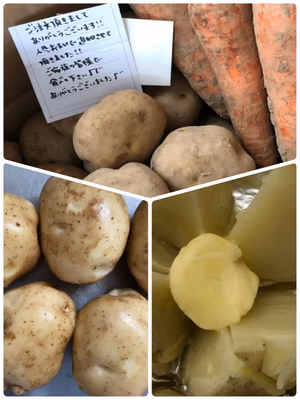 みんなの投稿の画像