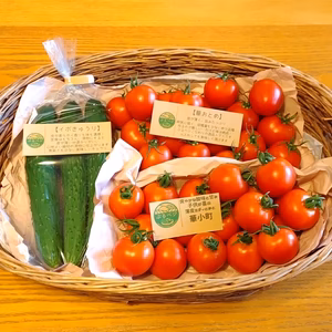 【秋の新物】薄皮中玉トマト【華おとめ】&【華小町】Mix お試し1kg箱 