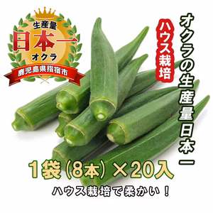 鹿児島県指宿市産　ハウス新鮮生オクラ　8本入×20袋