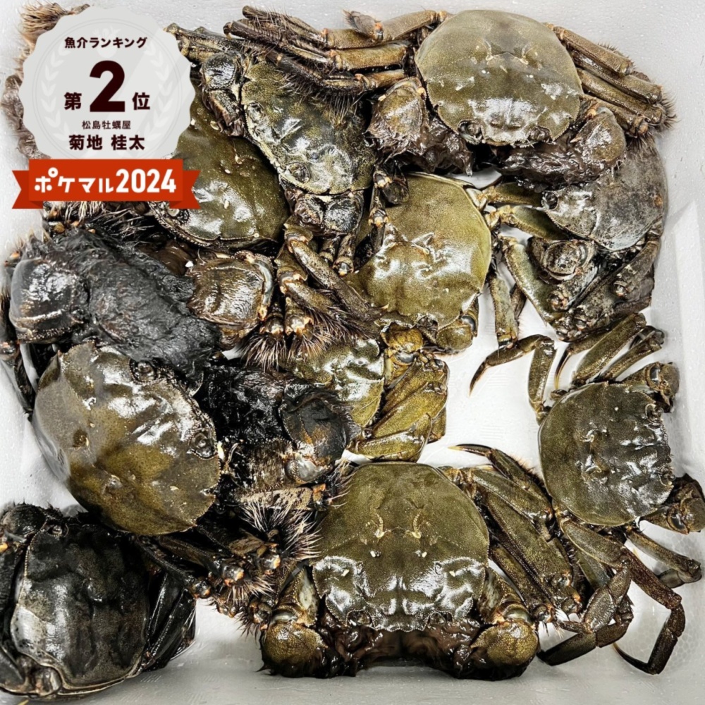 モクズガニ　2キロ強 急速冷凍モクズガニ 大サイズ2kg～8kg ツガニ 蟹汁 カニかに も