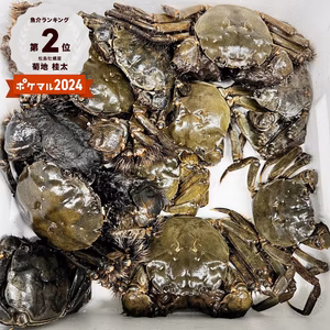 急速冷凍モクズガニ 大サイズ2kg～8kg ツガニ 蟹汁 カニかに もくずがに