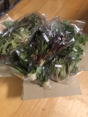 みんなの投稿の画像