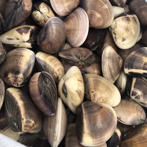 千葉県産活伊勢海老と九十九里地はまぐりのセット 