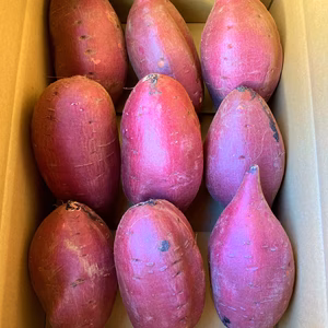 熟成シルクスイート　丸型　2Lサイズ