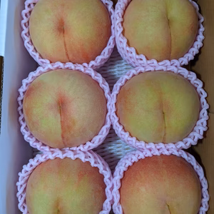 川中島白桃６個