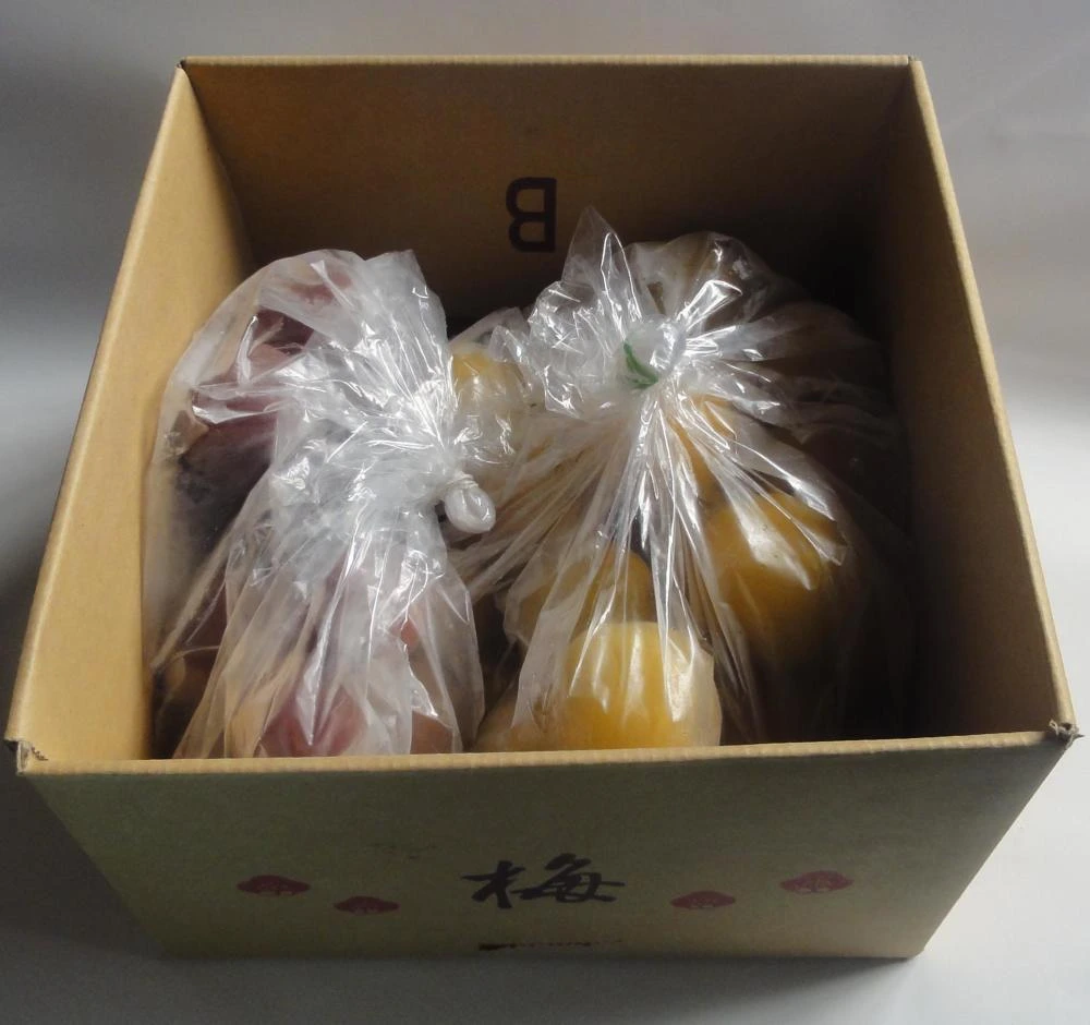 【冷凍梅】みなべの梅でおいしい梅シロップをつくろう！