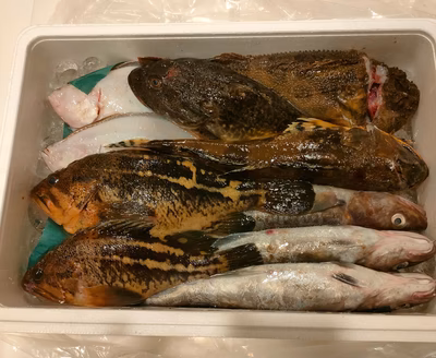 みんなの投稿の画像