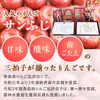 【予約販売】11月発送！「サンふじ」3kg 訳アリ家庭用りんご（7～12玉）