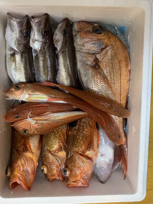 みんなの投稿の画像