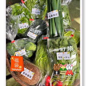 【2026福袋☆初売】福いっぱい！お得いっぱい！新春詰め合せ箱☆＋和歌山産果物付