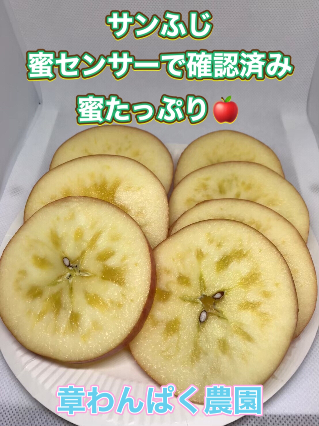 ③　特選サンふじ　L　10キロ　長野県産　減農薬　化学肥料不使用　わんぱくりんご
