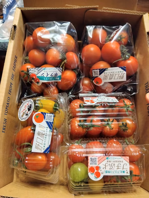 みんなの投稿の画像