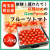 【朝採れ】数量限定！収穫初めの高糖度フルーツトマト