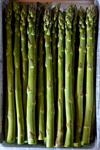 春採りアスパラガス(太め)【規格外】