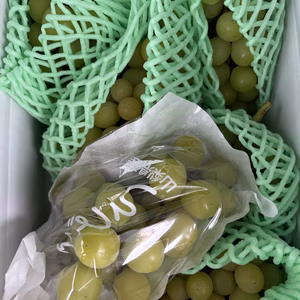 1房660円新鮮特価❗️美味しい小さな房や長い房のシャインマスカットを魅力的❗️