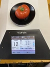 期間限定高糖度フルーツトマト　超熟収穫糖度10度以上