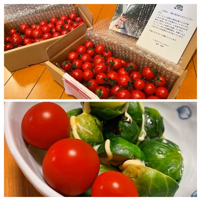 みんなの投稿の画像